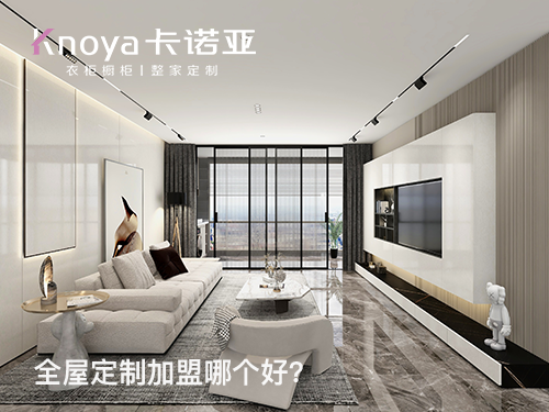 玉樹全屋定製加盟哪個品牌好?玉樹全屋定製招商加盟政策